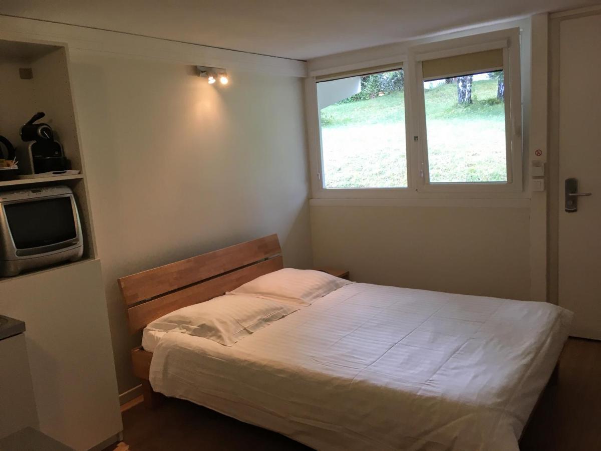 Hotel Pierre Blanche Chatillon-en-Michaille エクステリア 写真