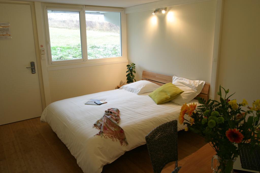 Hotel Pierre Blanche Chatillon-en-Michaille 部屋 写真